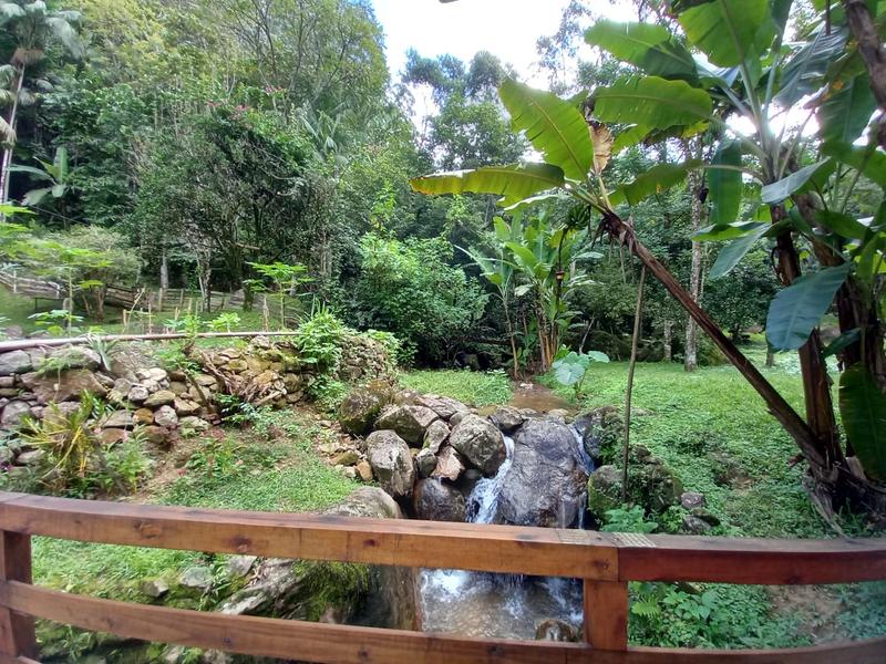 Sítio com 9,78 hectares a  venda em Tres Riachos, Biguaçu.