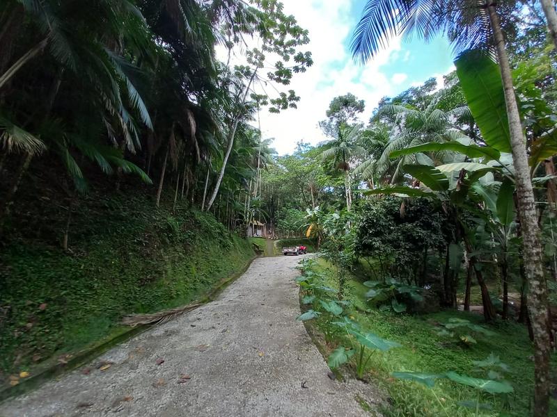 Sítio com 9,78 hectares a  venda em Tres Riachos, Biguaçu.