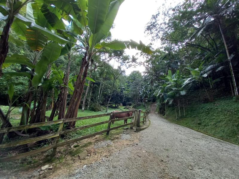 Sítio com 9,78 hectares a  venda em Tres Riachos, Biguaçu.