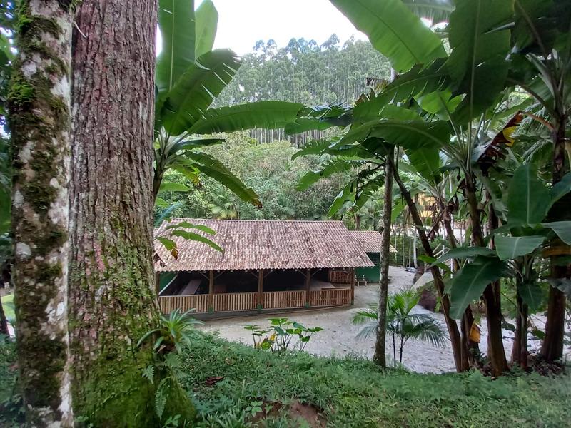 Sítio com 9,78 hectares a  venda em Tres Riachos, Biguaçu.