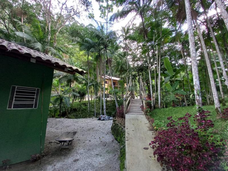 Sítio com 9,78 hectares a  venda em Tres Riachos, Biguaçu.